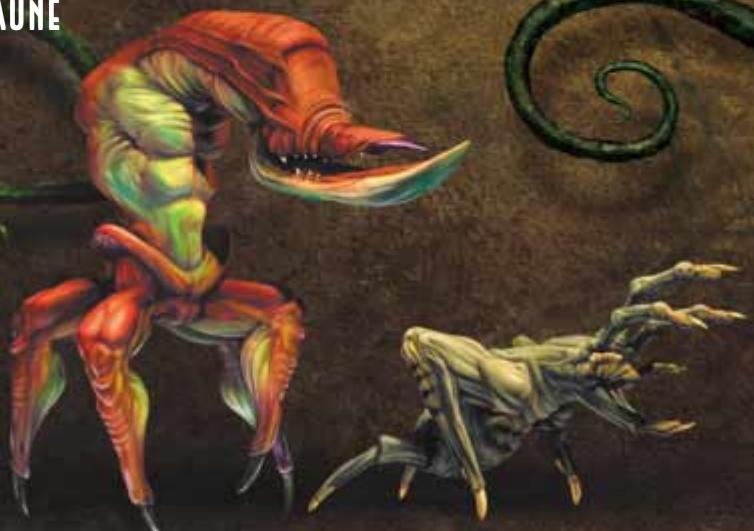 GAMES MICROSOFT XBOX ODDWORLD-MUNCH S ODDYSEE - LA FAUNE - 1