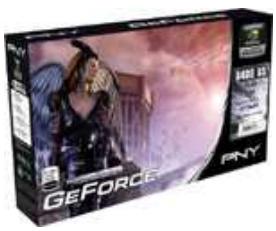 PNY GEFORCE 8400GS PCI - PRODUCTS - 1