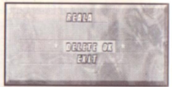 GAMES SEGA SATURN NIGHTS INTO DREAMS - Effacement d'une aventure - 2