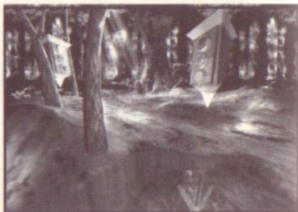 GAMES SEGA SATURN NIGHTS INTO DREAMS - Musée ondulant - 2