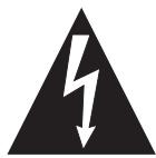 INSIGNIA NS-BT400 - RISK OF ELECTRIC SHOCK DO NOT OPEN - 2