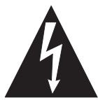 INSIGNIA NS-BT400 - RISK OF ELECTRIC SHOCK DO NOT OPEN - 2