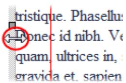 SERIF WEBPLUS X4 - Pour modifier directement les propriétés de la zone de texte : - 1