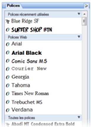SERIF WEBPLUS X4 - Utiliser les polices - 2