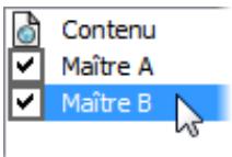 SERIF WEBPLUS X4 - Pour affecter plusieurs maquettes à une page Web : - 2