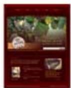SERIF WEBPLUS X4 - Mises en page thématiques - 3