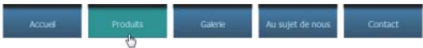 SERIF WEBPLUS X4 - Pour ajouter une barre de navigation : - 1