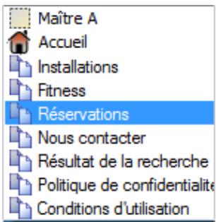 SERIF WEBPLUS X4 - Pour afficher une page/maquette spécifique : - 1