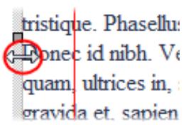 SERIF WEBPLUS X4 - Pour modifier directement les propriétés de la zone de texte : - 1