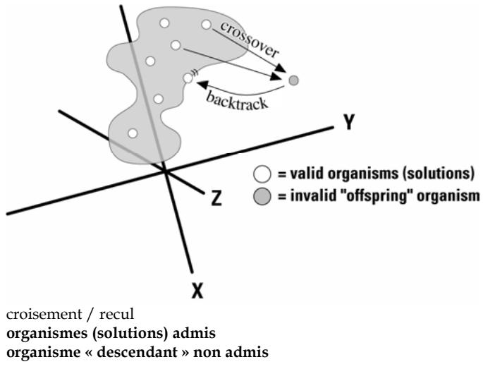 PALISADE RISKOPTIMIZER 5.5 - Contraintes - 1