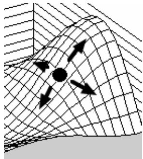 PALISADE RISKOPTIMIZER 5.5 - Algorithms par escalade - 1