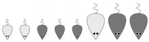 PALISADE RISKOPTIMIZER 5.5 - Exemple biologique - 2