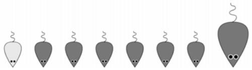 PALISADE RISKOPTIMIZER 5.5 - Exemple biologique - 3