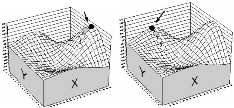 PALISADE RISKOPTIMIZER 5.5 - Algorithms par escalade - 2