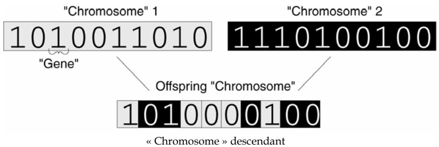 PALISADE RISKOPTIMIZER 5.5 - Histoire - 1