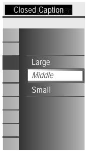 MAGNAVOX 19MF330B - Background Color - 2