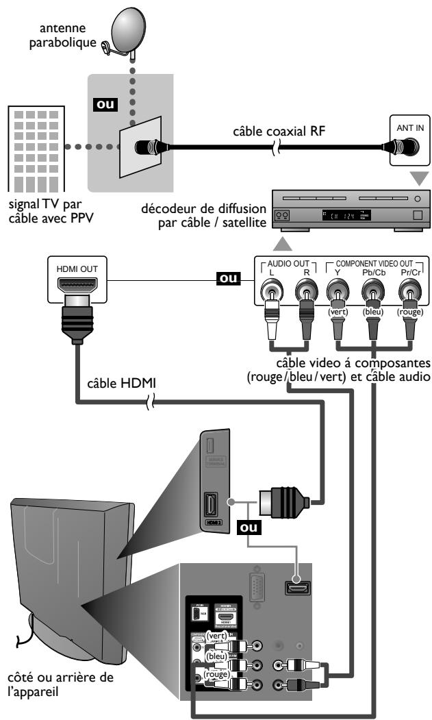MAGNAVOX 19MF330B - Connexion à un Décodeur de Diffusion par Câble/Satellite - 1