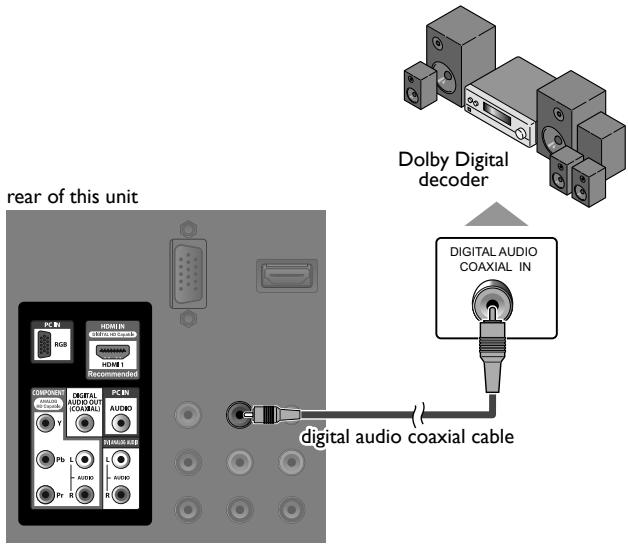 MAGNAVOX 19MF330B - Digital Audio Output Connection - 1