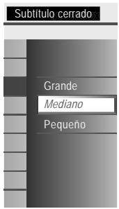 MAGNAVOX 19MF330B - Color fondo - 2