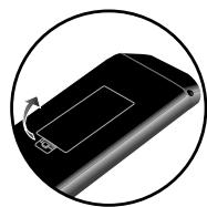MAGNAVOX 19MF330B - Installing the Batteries - 1
