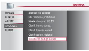 MAGNAVOX 19MF339B - Introduzca Cjdko Actual - 2