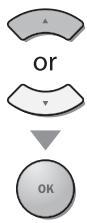 MAGNAVOX 19MF339B - Closed Caption - 2