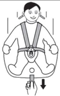 BAMBISOL - G1 9 à 18 KG (environ 9 mois à 4 ans) - 6