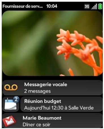 PALM PALM PIXI PLUS - Affichage de l'intégralité des notifications reçues - 1