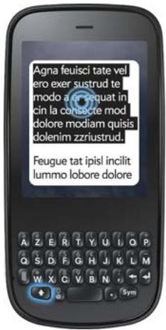 PALM PALM PIXI PLUS - Gestes de sélection de texte - 4