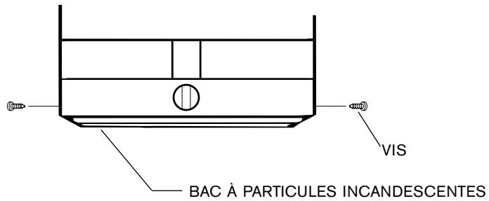 PROTANKLESS 425HN - INSTALLATION MURALE - 2