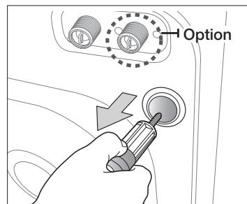 SAMSUNG WF0704L7W - Enlever les vis de transport - 2