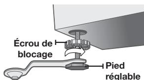 Écrou de blocage Pied réglable