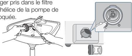 ger pris dans le filtre nélice de la pompe de quée.