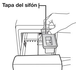 Tapa del sifón