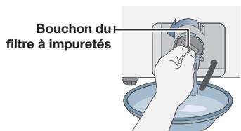 SAMSUNG WF350ANG/XAC - NETTOVER LE FILTRÉ À IMPURETÉS - 3