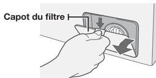 SAMSUNG WF350ANG/XAC - NETTOVER LE FILTRÉ À IMPURETÉS - 1