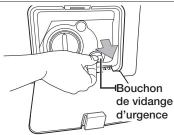 SAMSUNG WF1804WSV - Nettoyage et entretien de votre lave-linge - 2