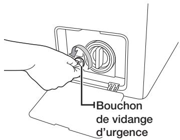SAMSUNG WD1702RJV1 - nettoyage et entretien de votre lave-linge - 2
