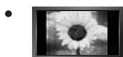SAMSUNG LE37B554M2P - □ Precauciones al mostrar en la pantalla una imagen fija - 1
