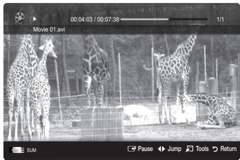 SAMSUNG LE37C530 - Playing Video - 1