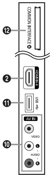 COMMON INTERFACE HDMI IN USB AV IN VIDEO L AUDIO R