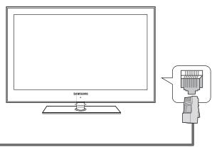 SAMSUNG LN65B650X1F - Utilisation du câble réseau - 3