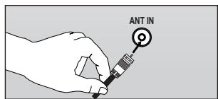 ANT IN