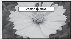 Zoom2 ◆ Move