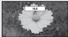 SAMSUNG LN65B650X1F - Size - 1