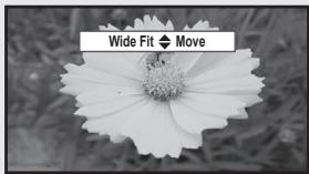 Wide Fit Move