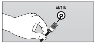 ANT IN