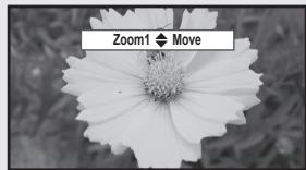 Zoom1 ◆ Move