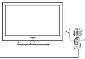 SAMSUNG LN65B650X1F - Connecting to the Home Network Center - 5
