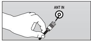 ANT IN